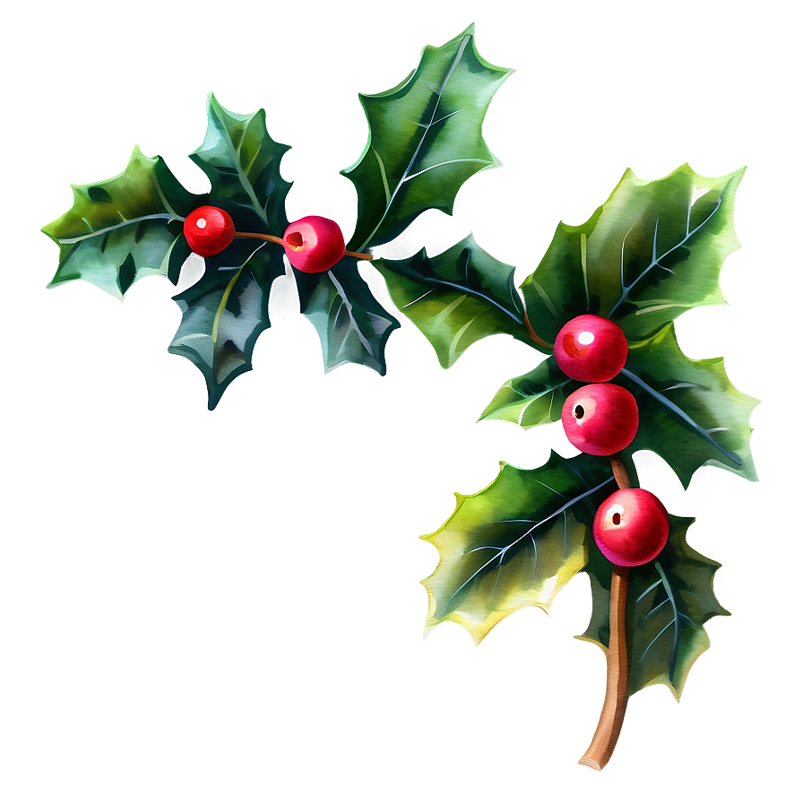 Watercolor Holly Png 64 PNG