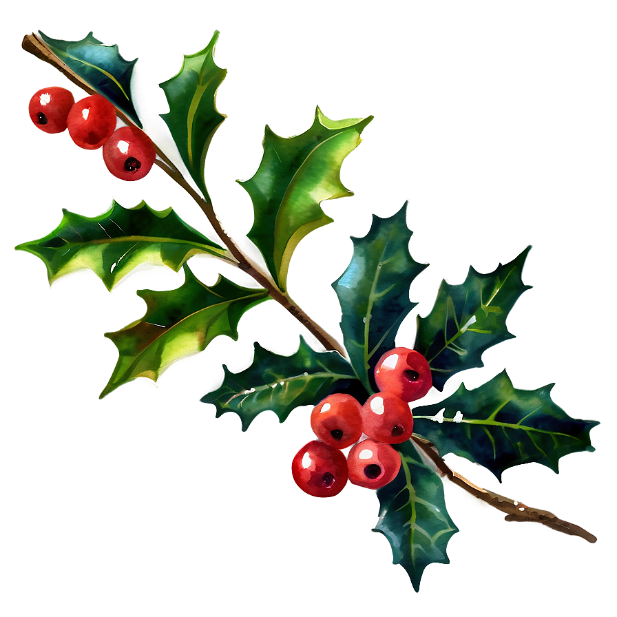 Watercolor Holly Png Ati PNG