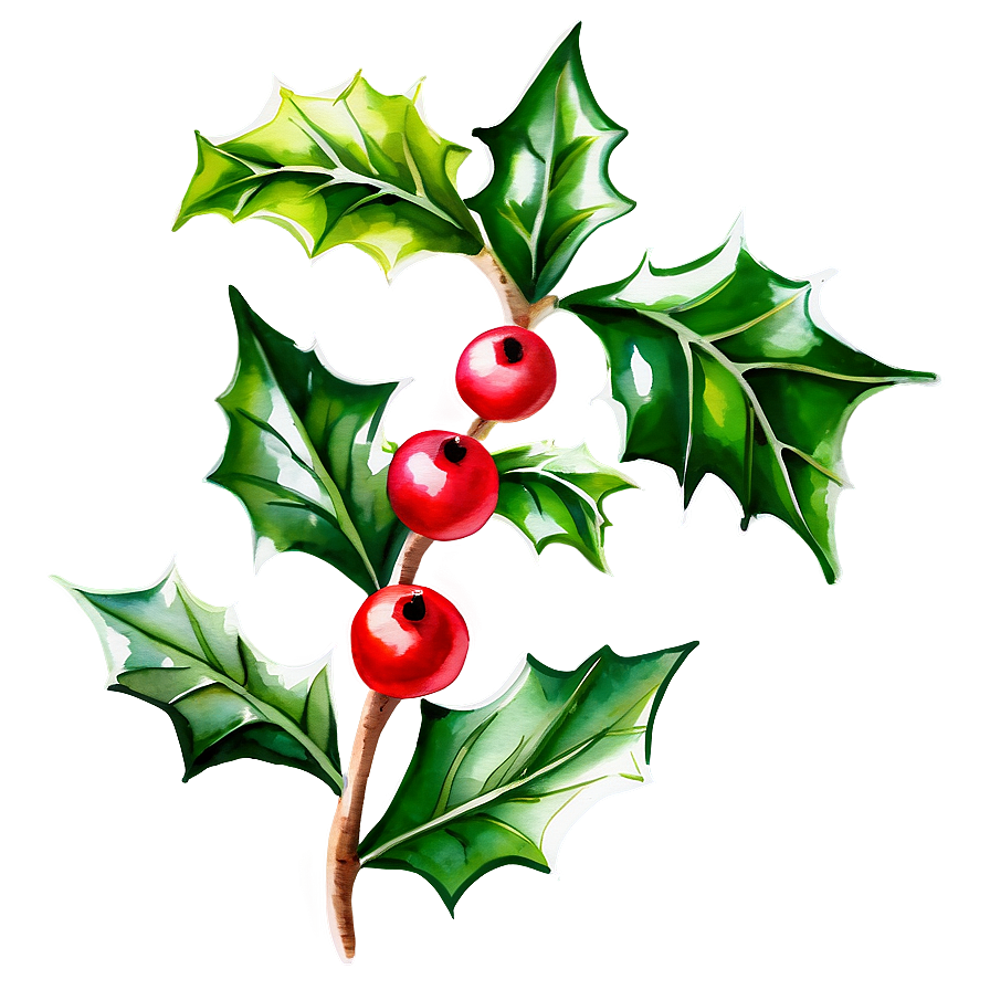 Watercolor Holly Png Kbj PNG