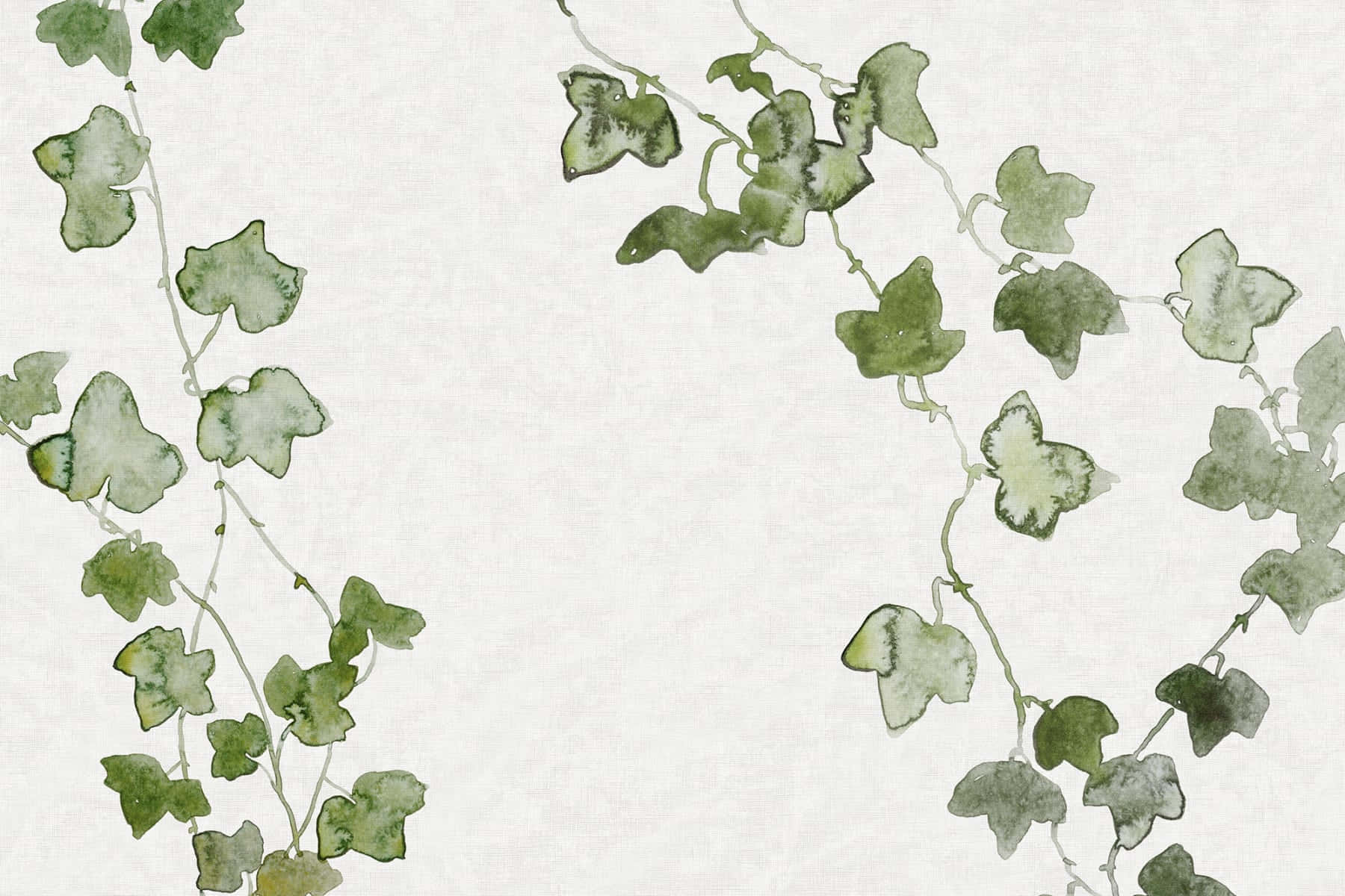Watercolor Ivy Vines Background Wallpaper