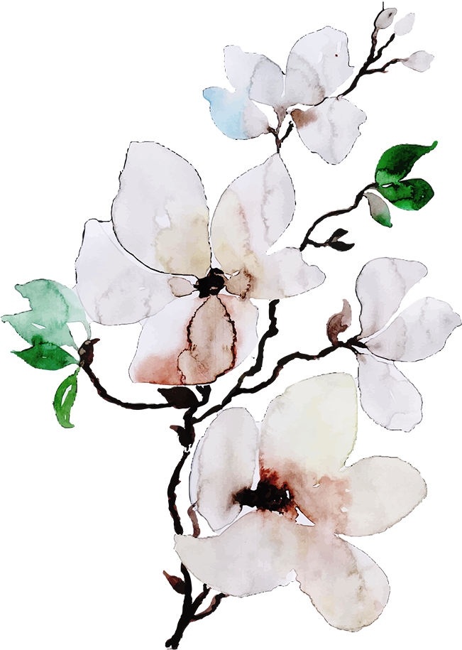 Watercolor Jasmine Branch Artwork PNG
