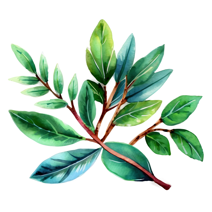 Watercolor Laurel Clipart Png 06262024 PNG