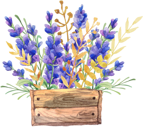 Watercolor Lavenderin Wooden Box PNG