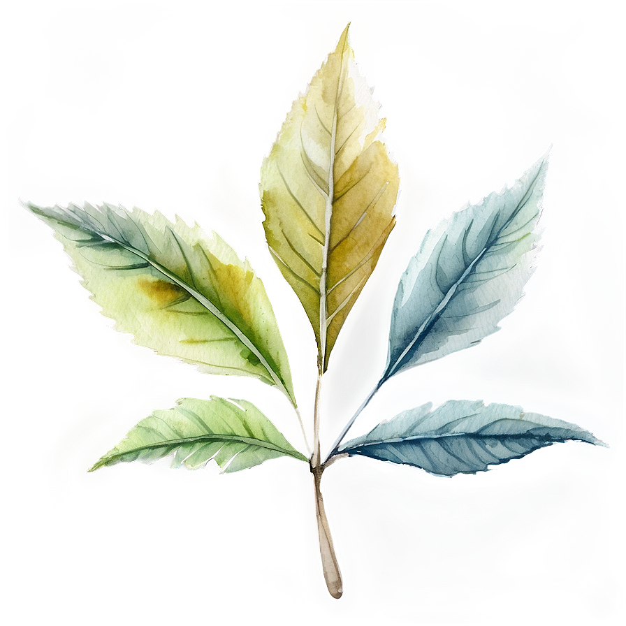 Watercolor Leaf Png 05032024 PNG