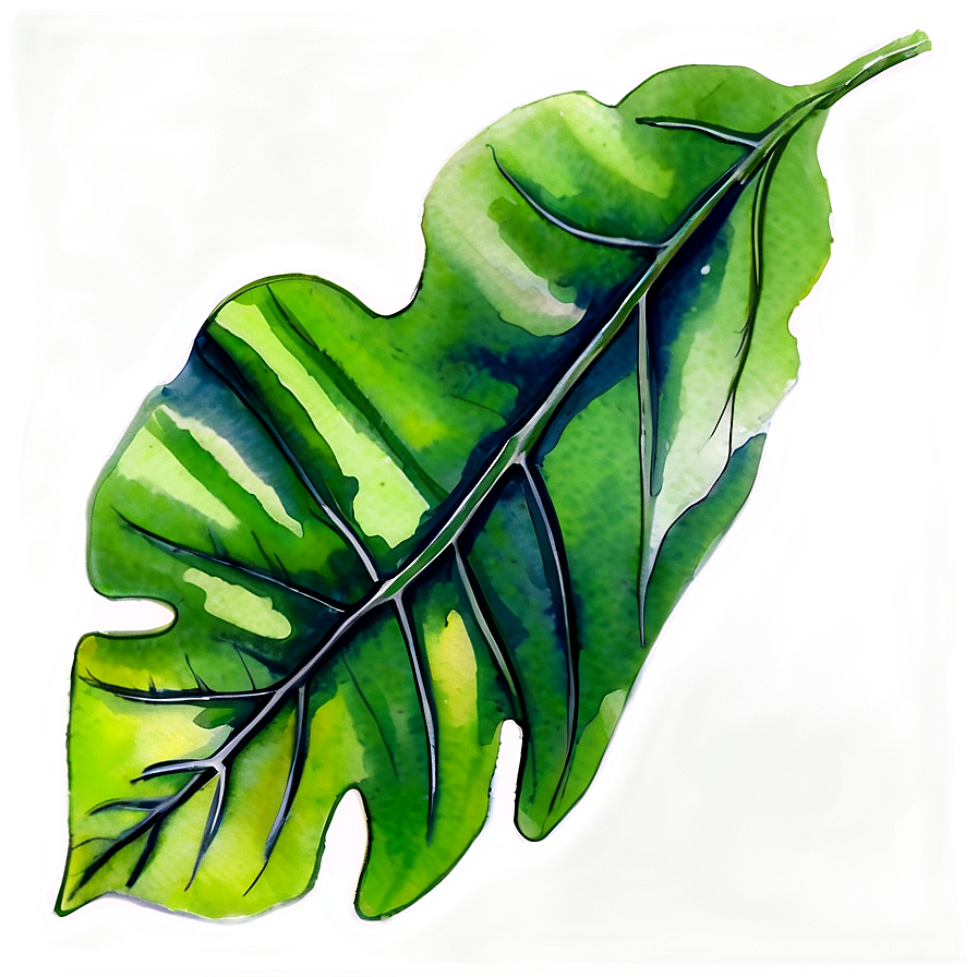 Watercolor Leaf Png 05032024 PNG