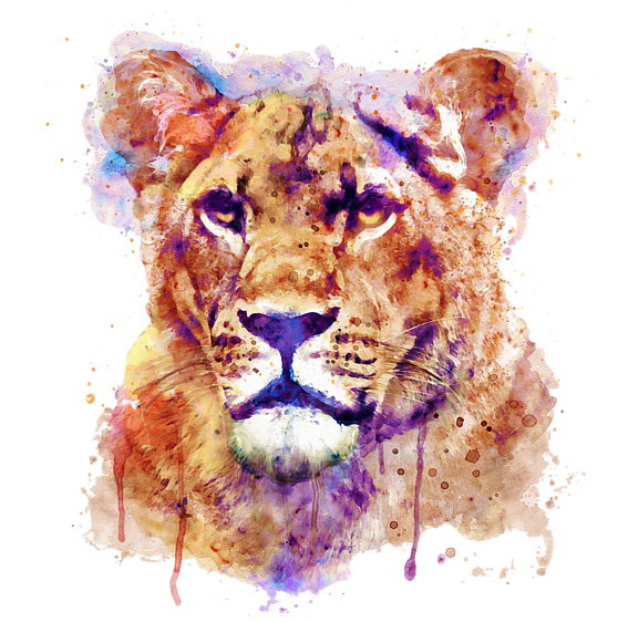 Download Watercolor Lioness Portrait | Wallpapers.com