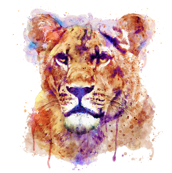 Watercolor Lioness Portrait PNG
