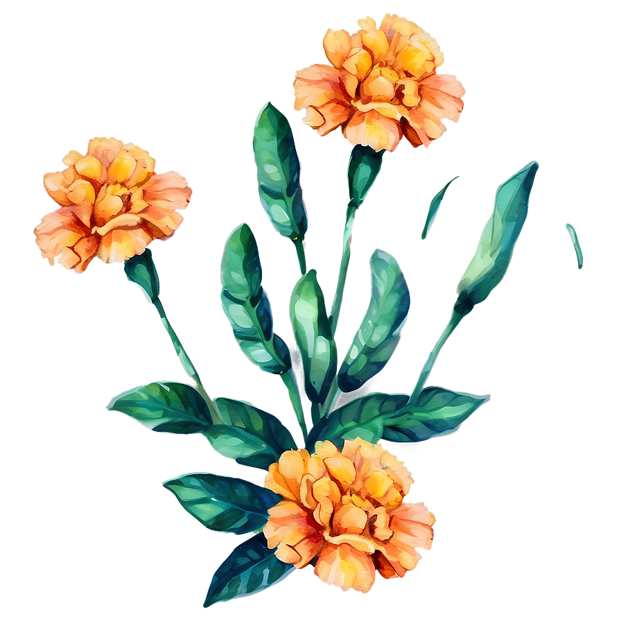 Watercolor Marigolds Art Png 06132024 PNG