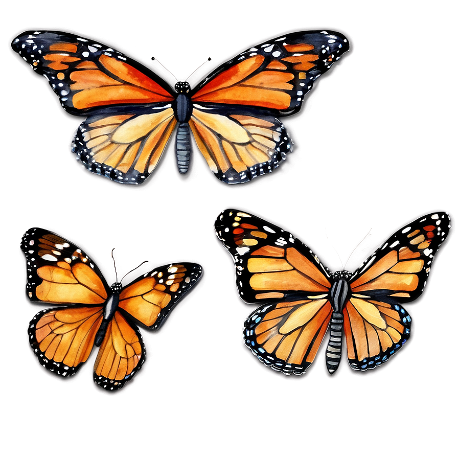 Watercolor Monarch Butterflies Png Iha PNG