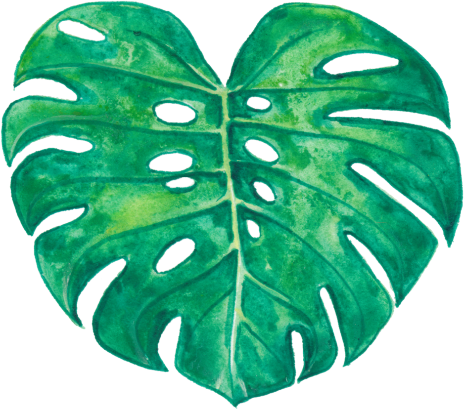 Watercolor Monstera Leaf Artwork PNG