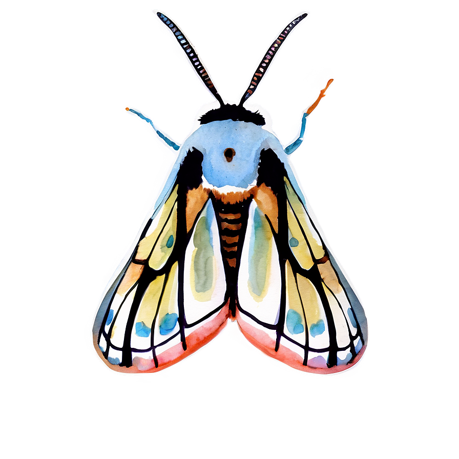 Watercolor Moth Png 05242024 PNG