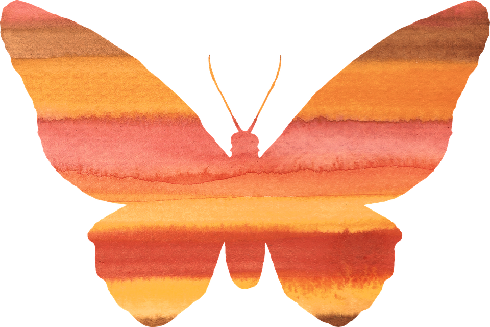 Watercolor Orange Butterfly PNG