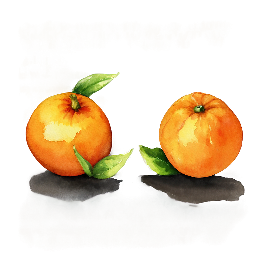 Watercolor Painted Orange Png 05032024 PNG