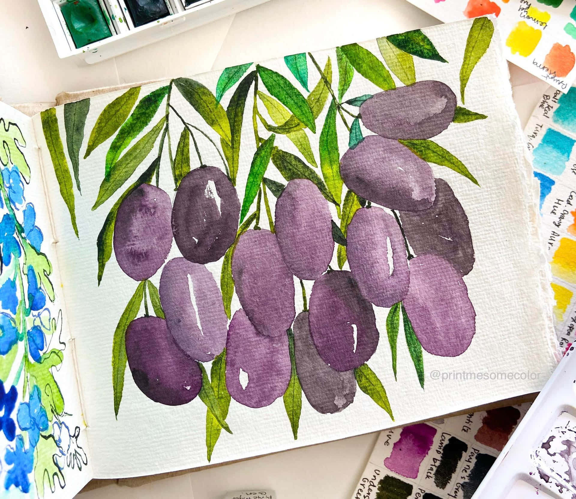 Watercolor Painting Of A Java Plums Wallpaper