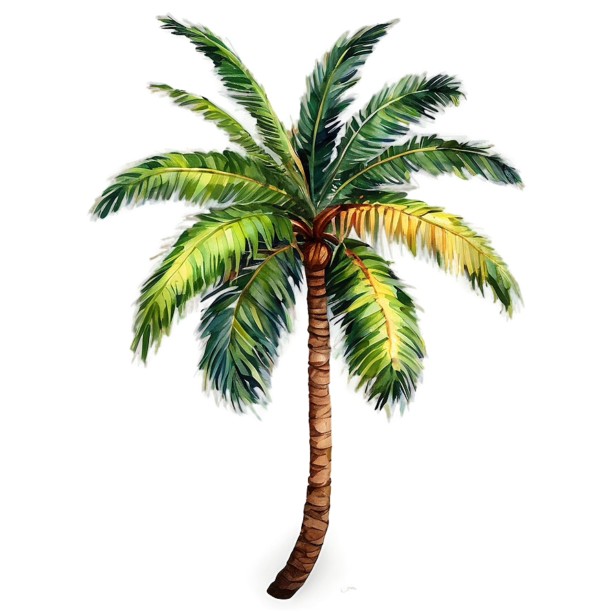 Watercolor Palm Tree Png Frt PNG