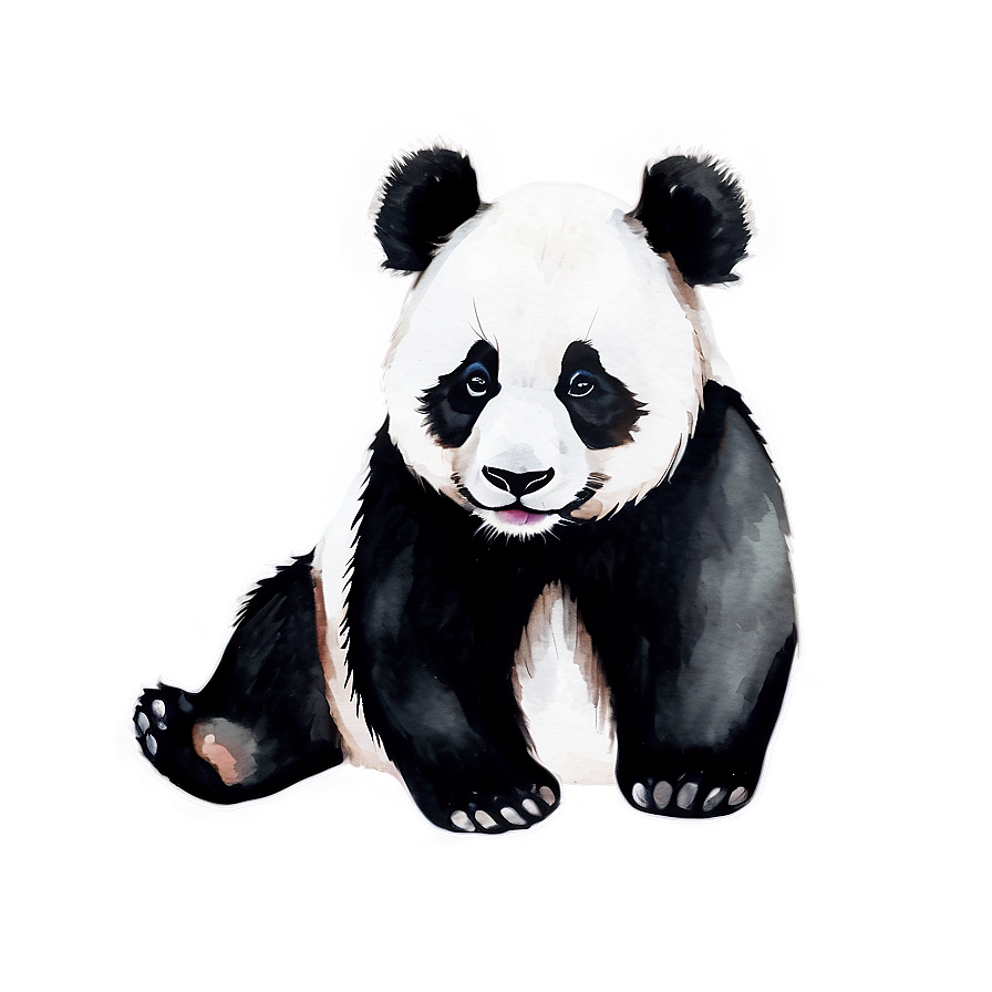 Download Watercolor Panda Art Png 05062024 | Wallpapers.com