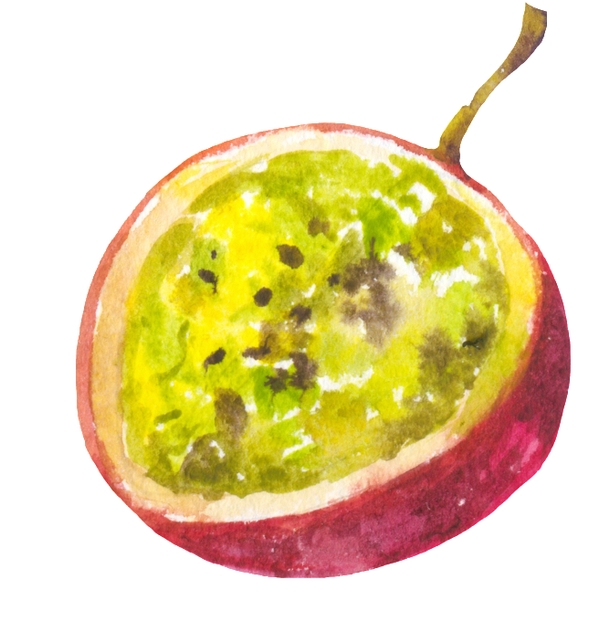 Watercolor Passion Fruit Slice PNG