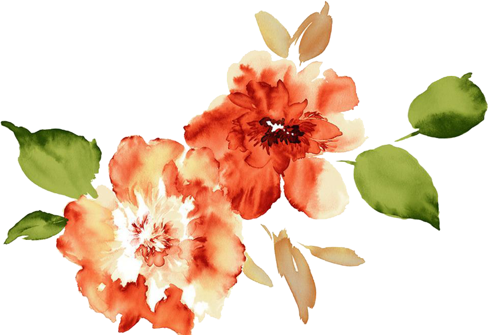 Watercolor Peony Floral Arrangement PNG