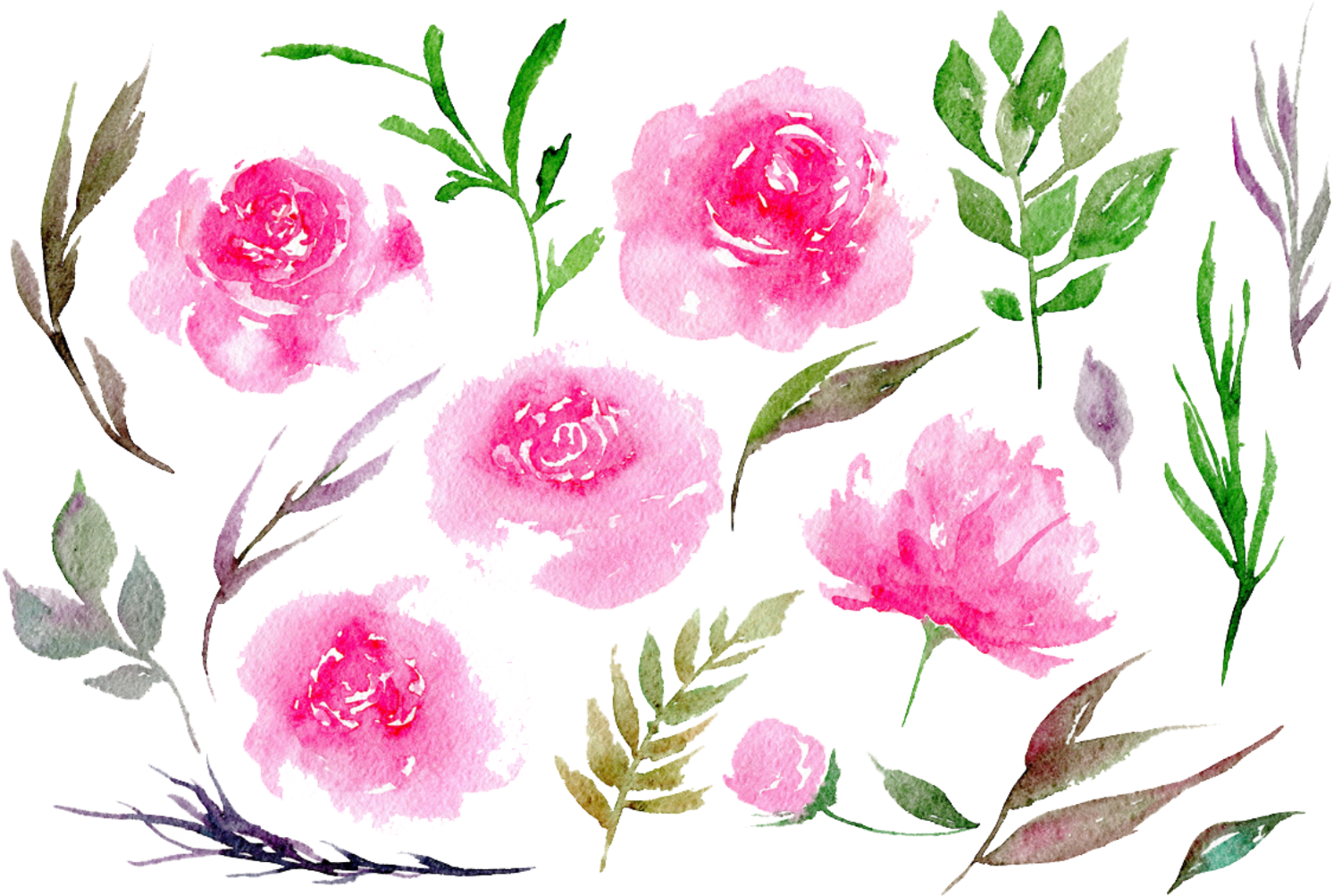 Watercolor Peony Floral Composition PNG