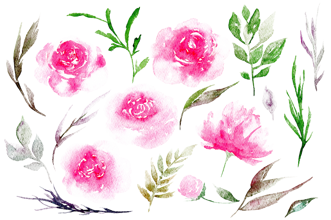Watercolor Peony Floral Elements PNG