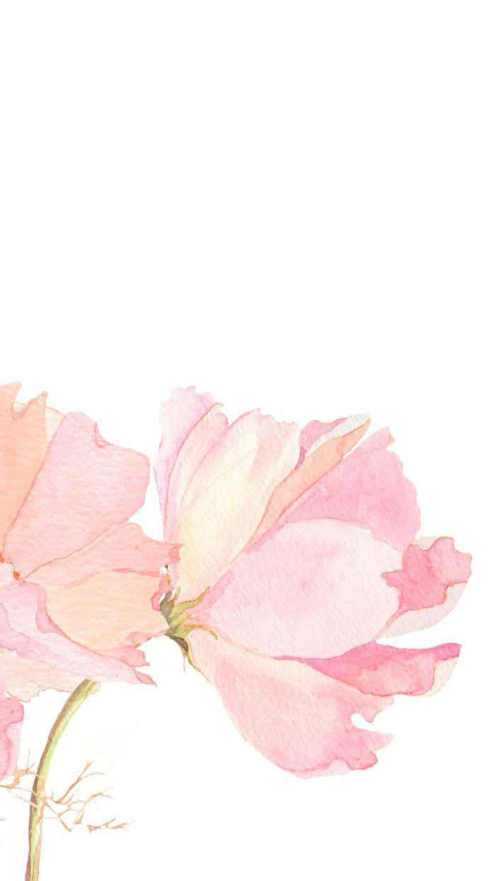 Watercolor Roses On White Background