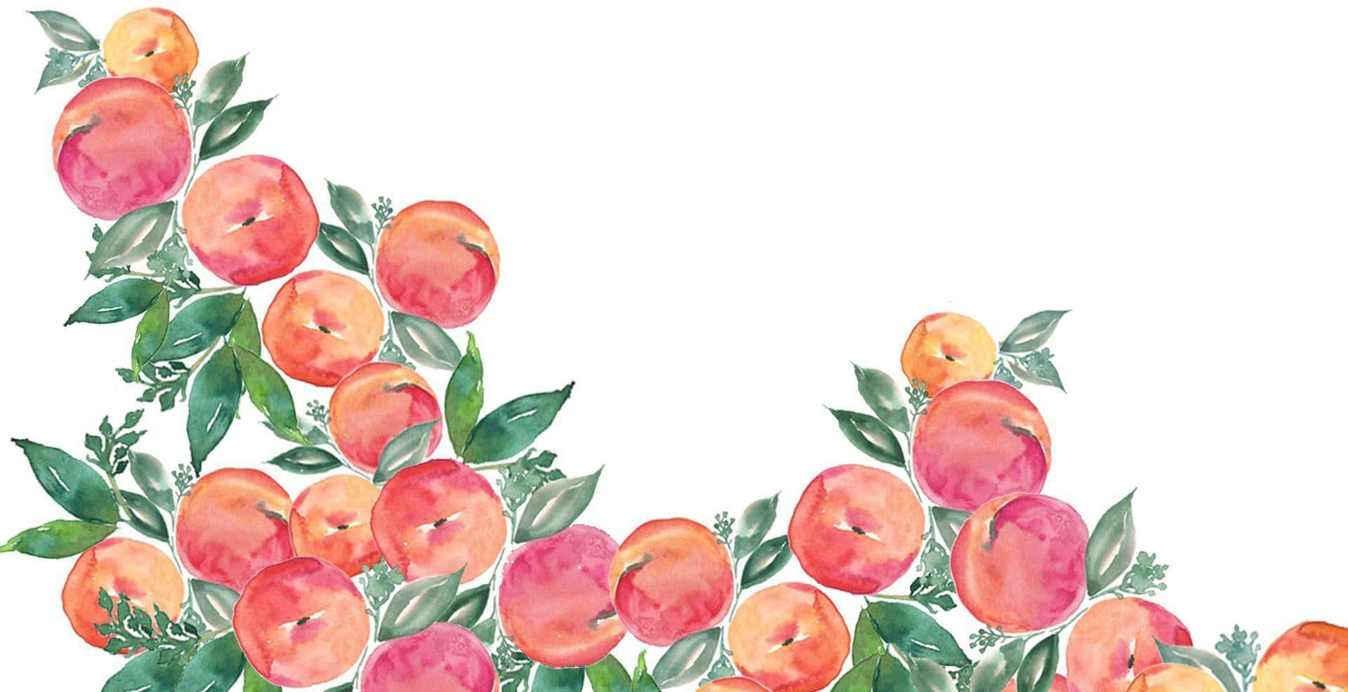 Watercolor Peach Blossoms Illustration