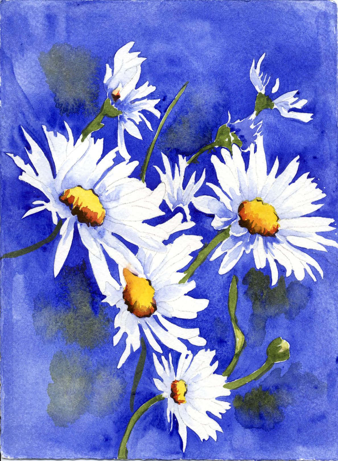 A Painting Of Daisies