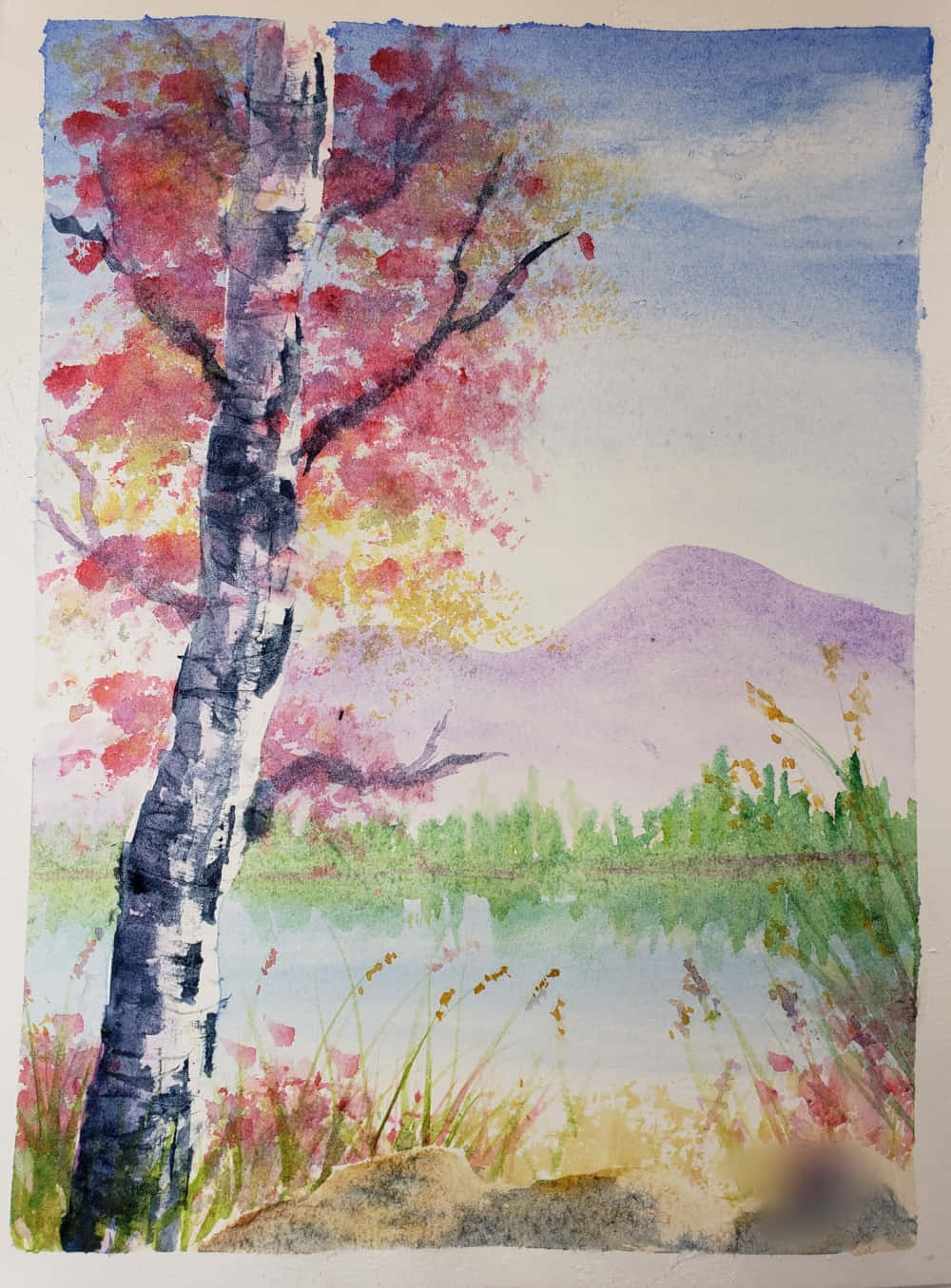 Watercolor Pictures