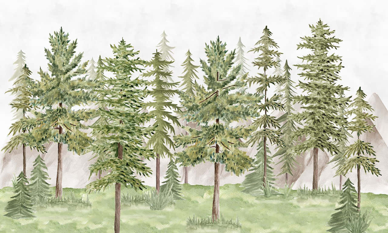 Watercolor Pine Forest Illustration Wallpaper