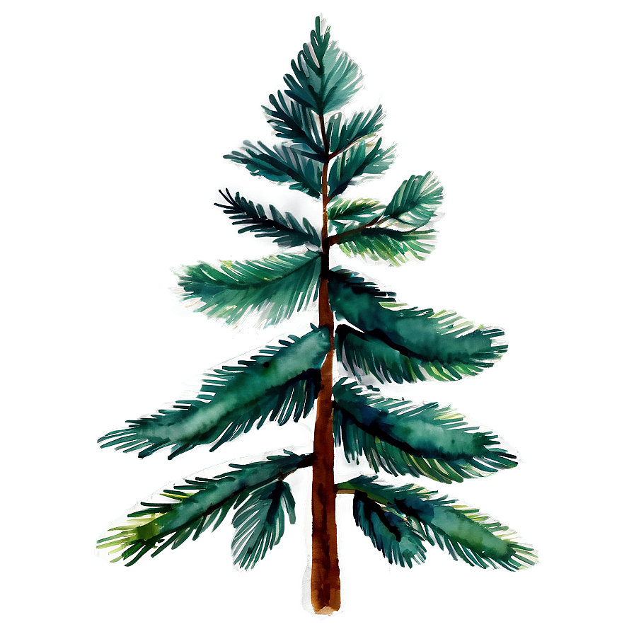 Download Watercolor Pine Trees Png Njk79 | Wallpapers.com