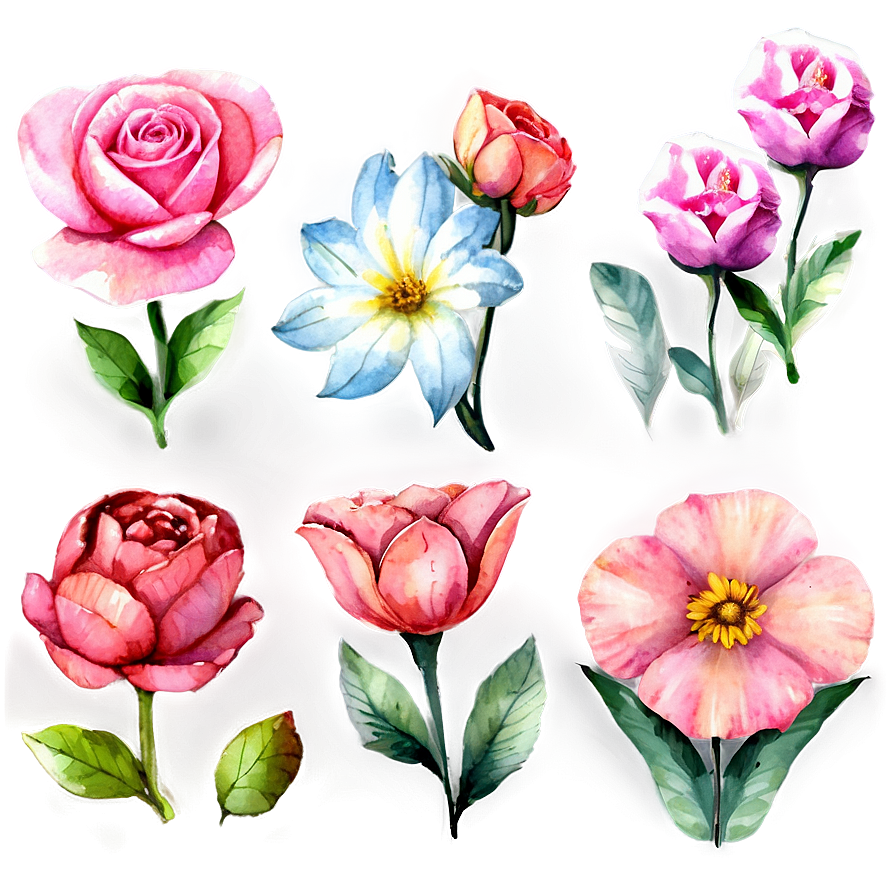 Watercolor Pink Flowers Png 05242024 PNG