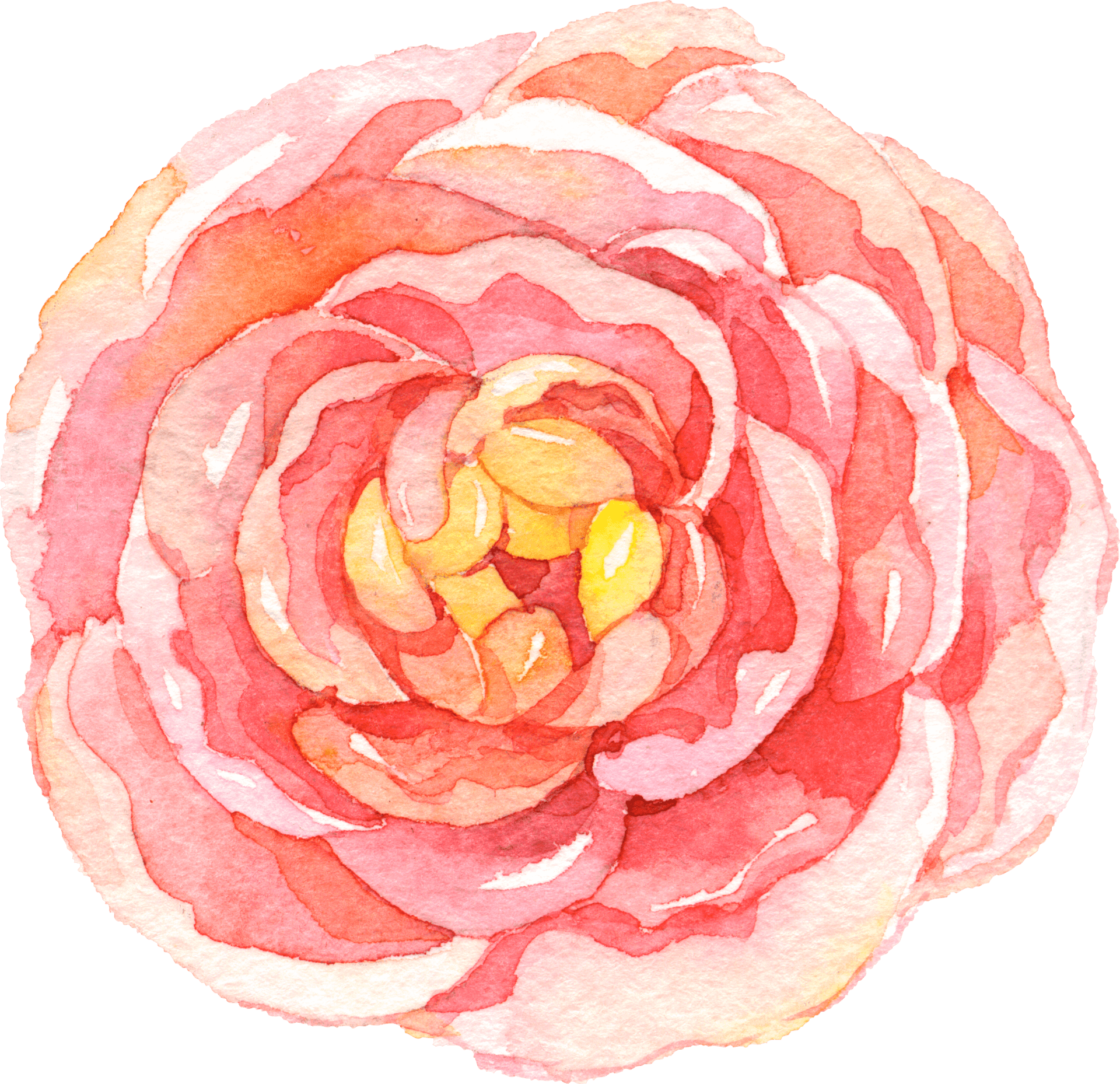 Watercolor Pink Rose Artwork PNG