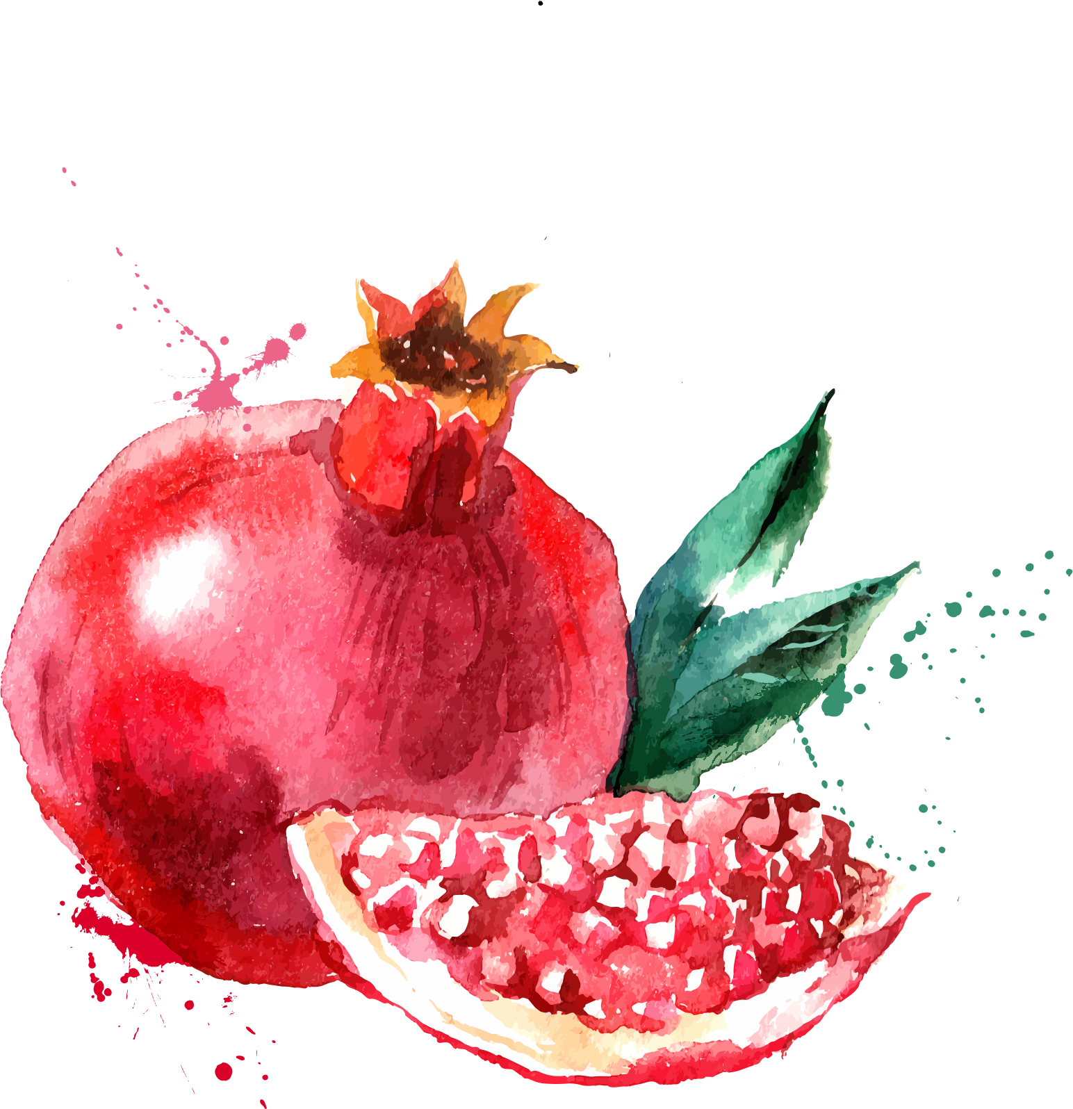 Watercolor Pomegranate Artwork PNG
