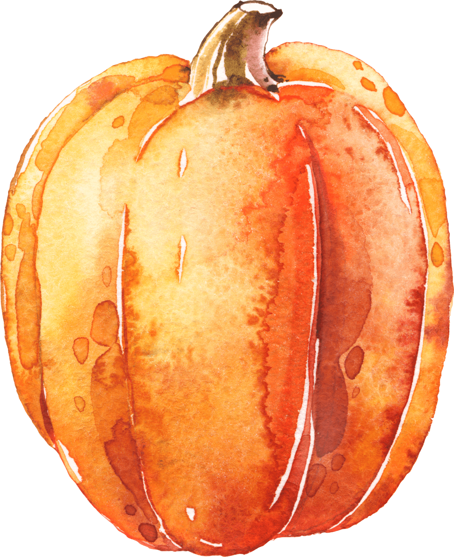 Watercolor Pumpkin Artwork PNG