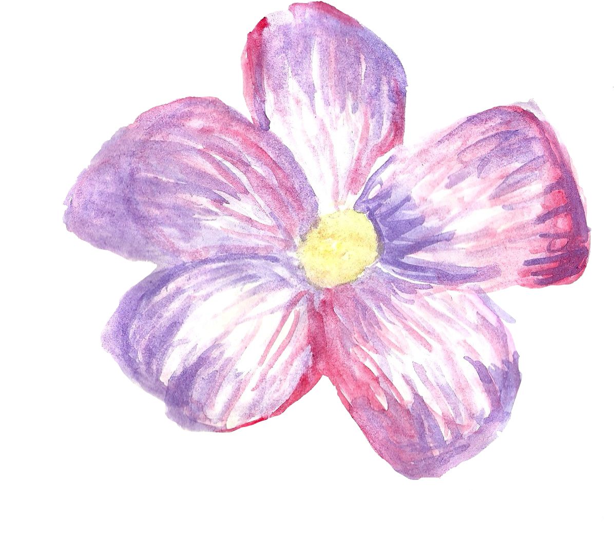 Download Watercolor Purple Flower Illustration | Wallpapers.com