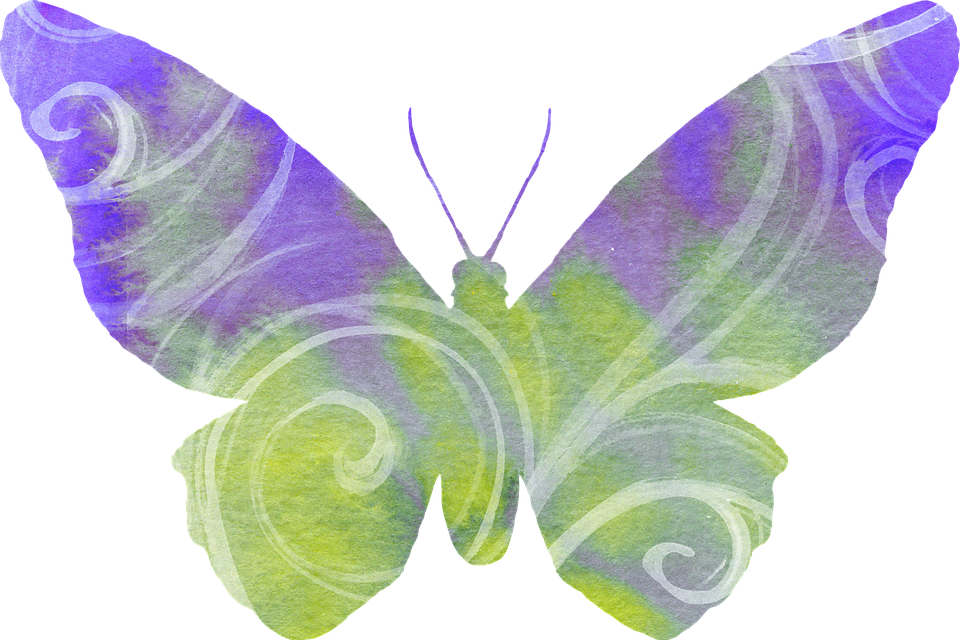 Watercolor Purple Green Butterfly PNG