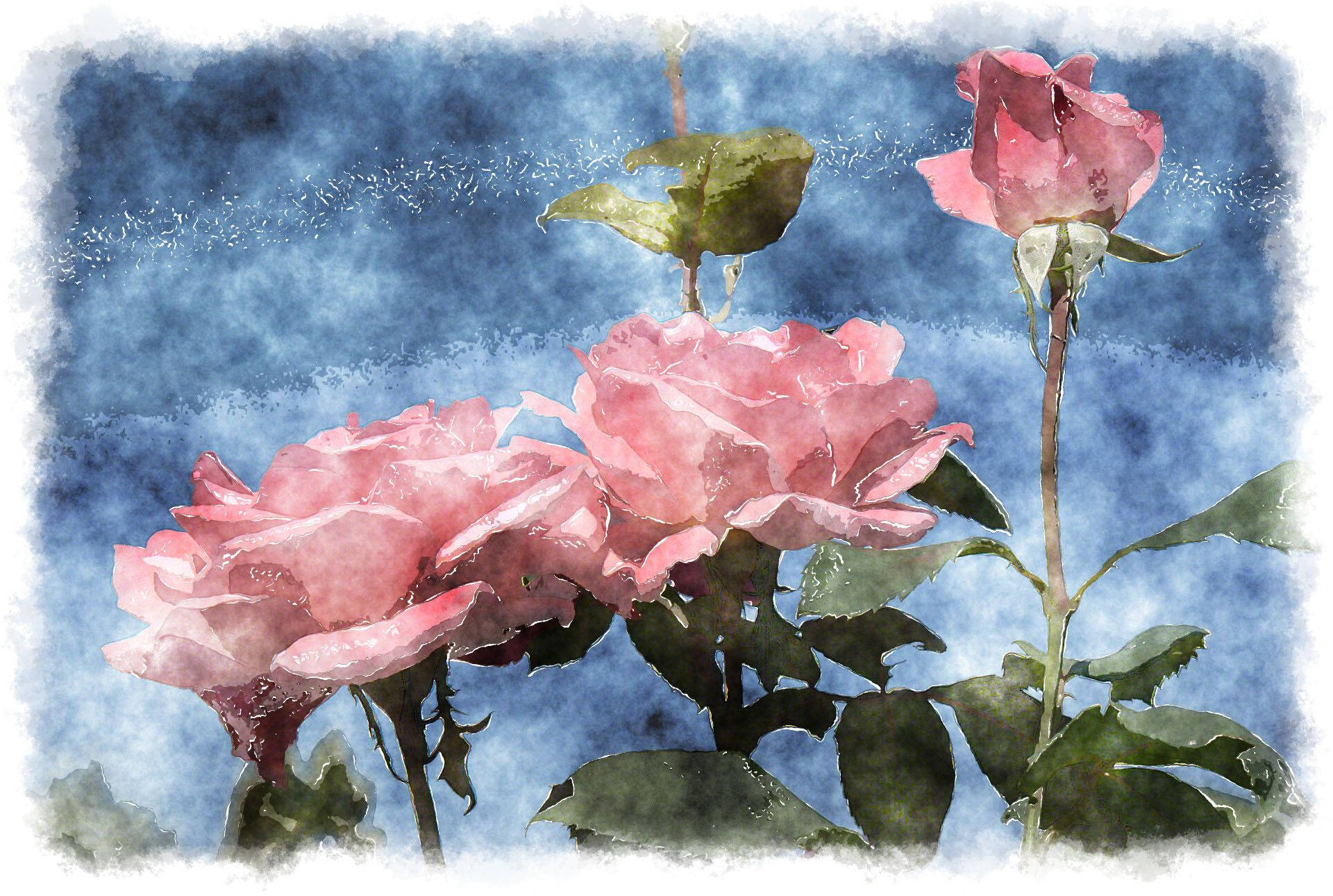 Watercolor Rose Aesthetic Wallpaper