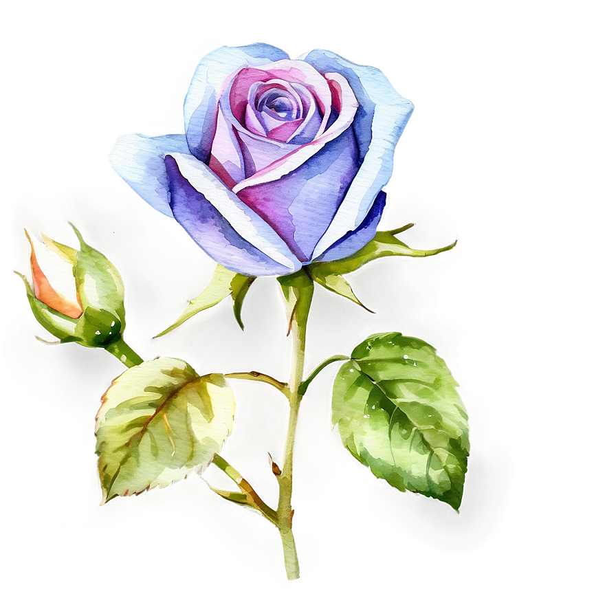 Watercolor Rose Clipart Png 30 PNG