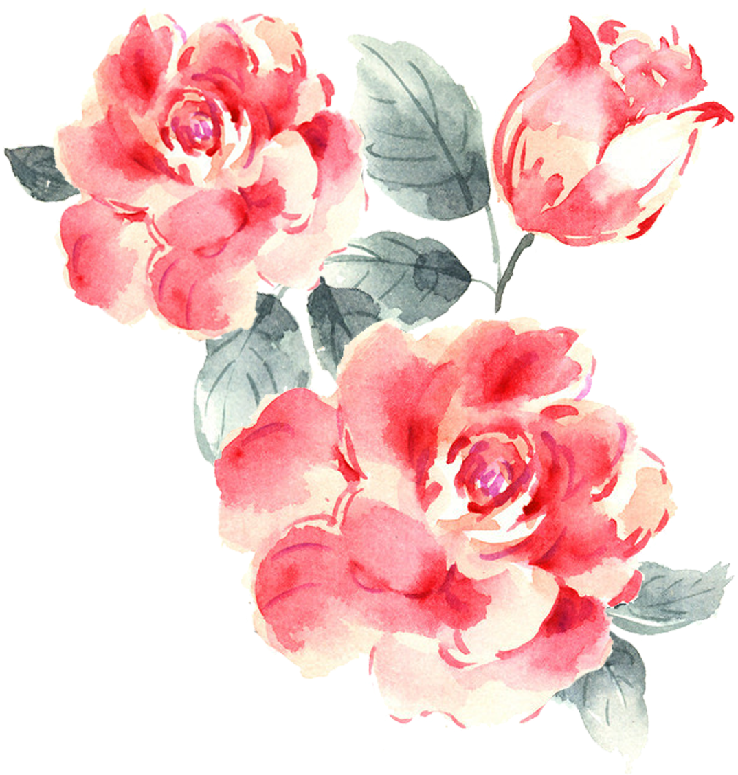 Watercolor Roses Illustration PNG