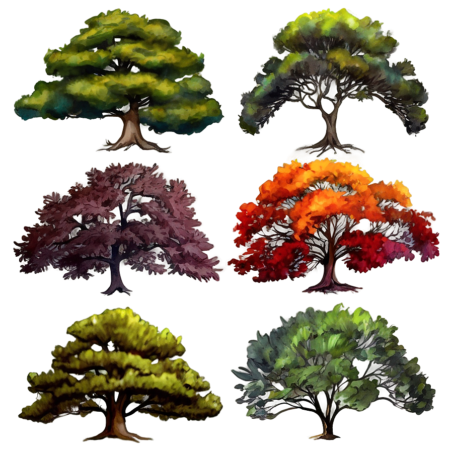 Watercolor Seasonal Trees Png Vuk5 PNG