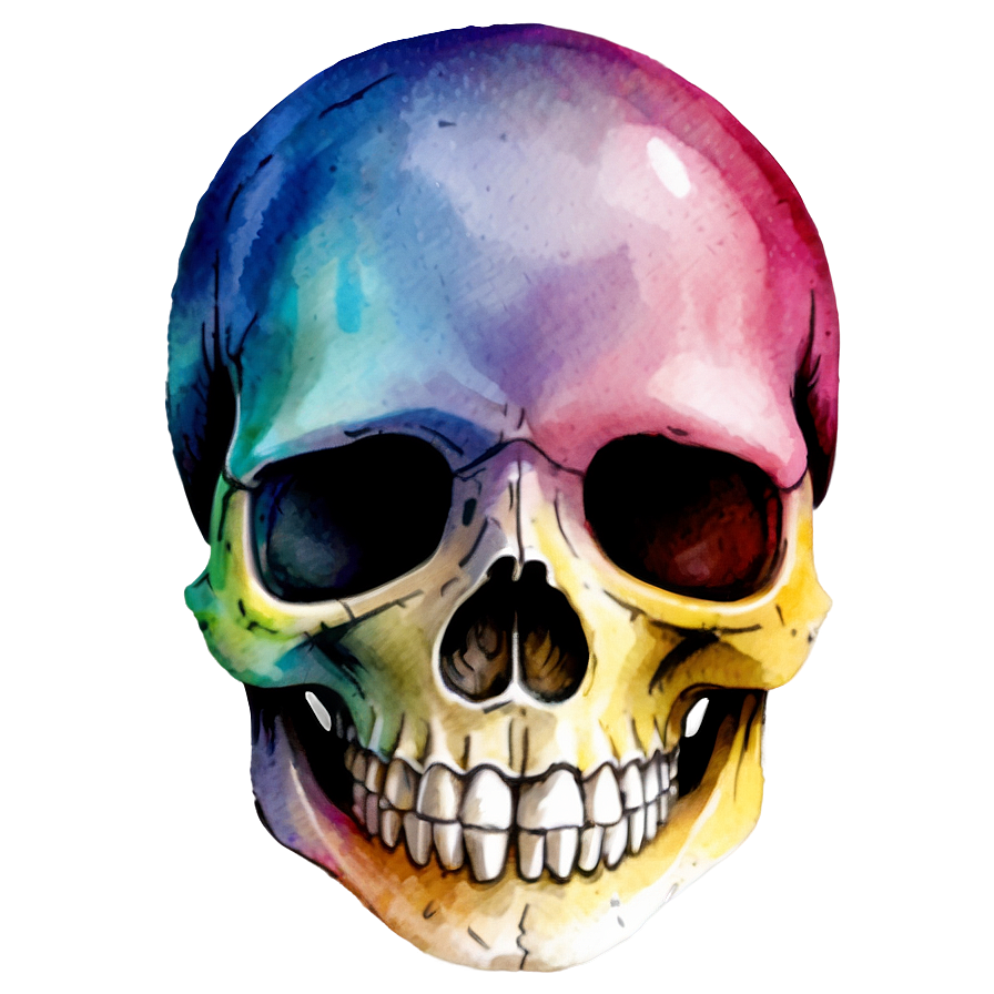 Watercolor Skull Painting Png D PNG