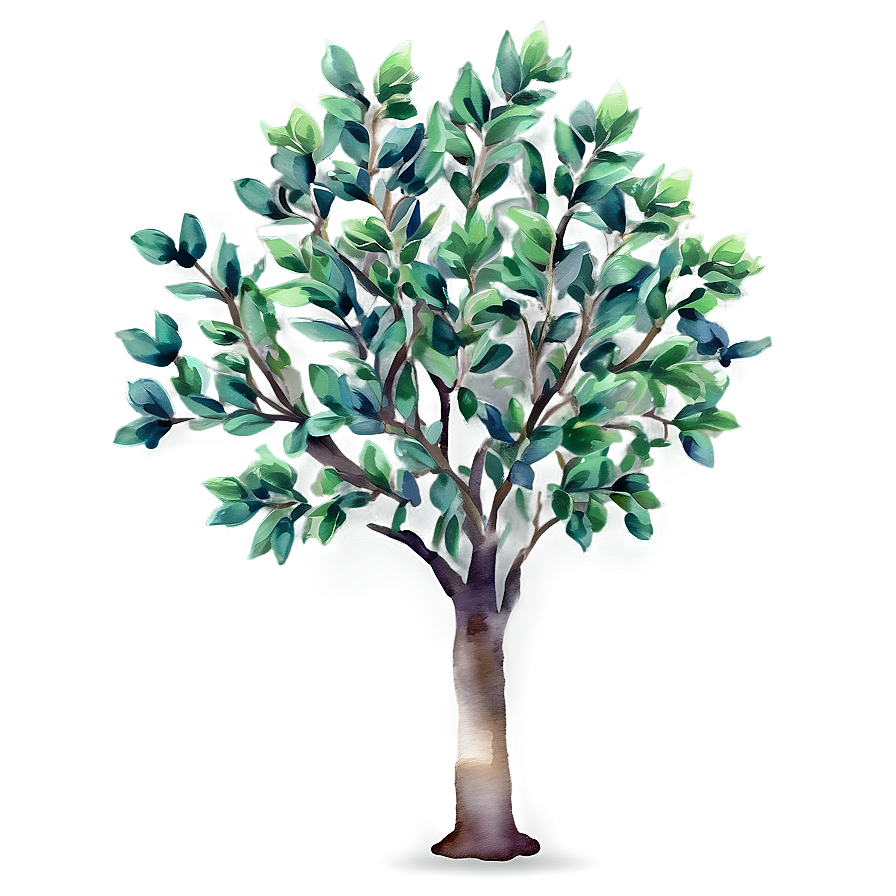 Watercolor Small Tree Png 06132024 PNG