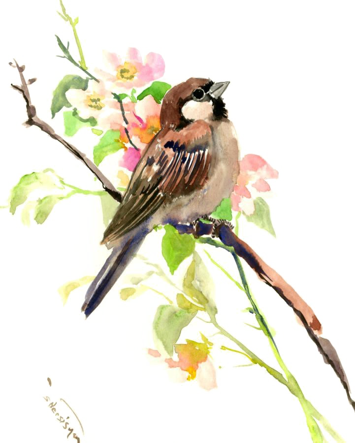 Watercolor Sparrowon Branch PNG