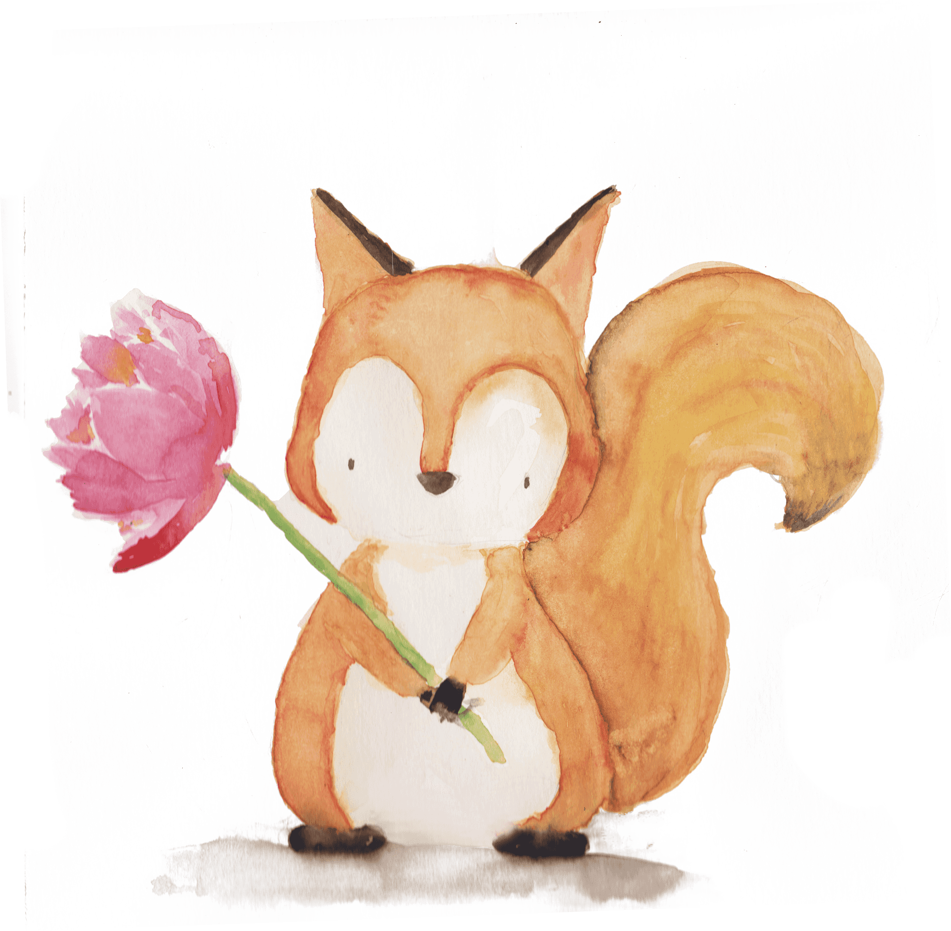 Watercolor Squirrelwith Flower PNG