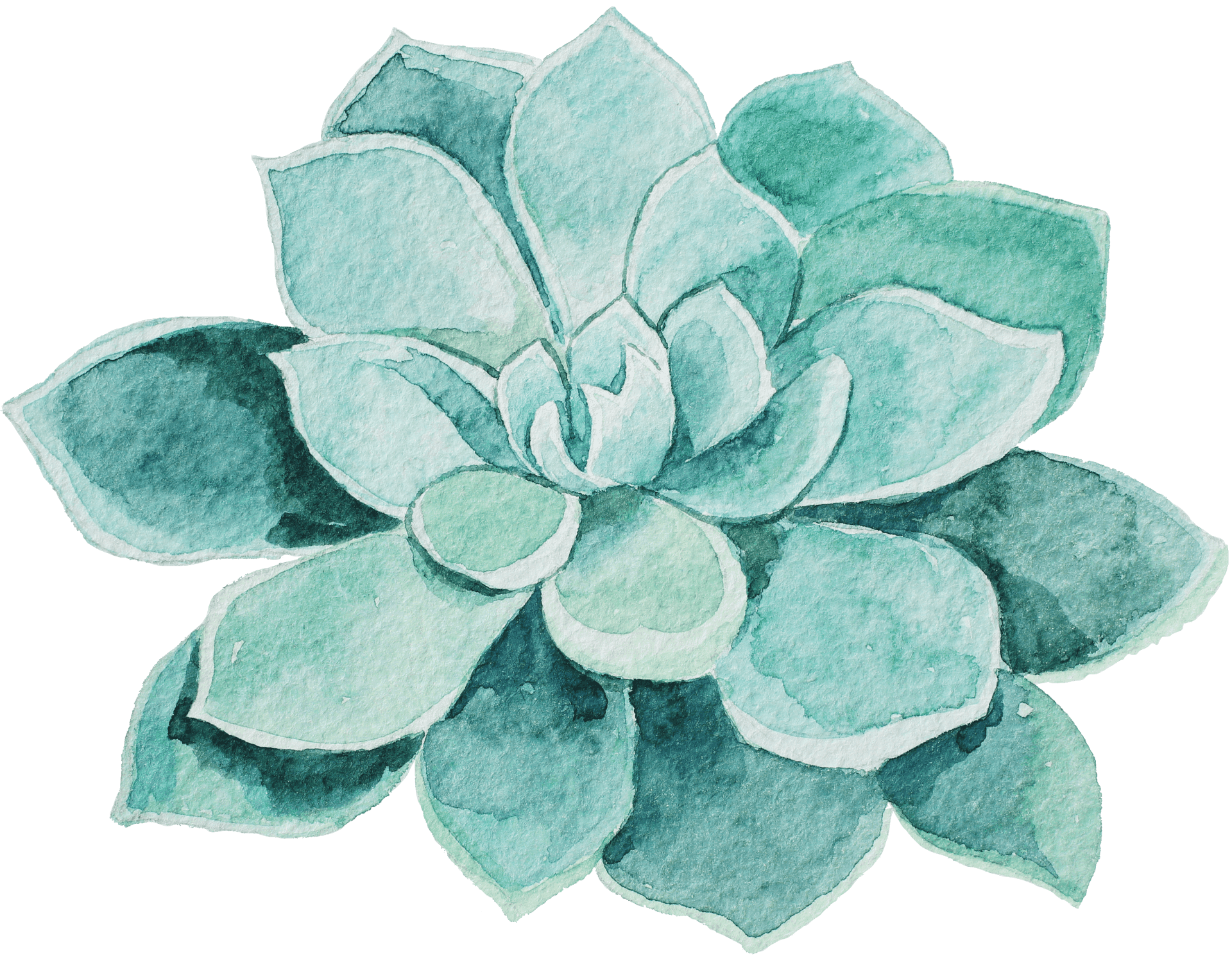 Watercolor Succulent Artwork PNG