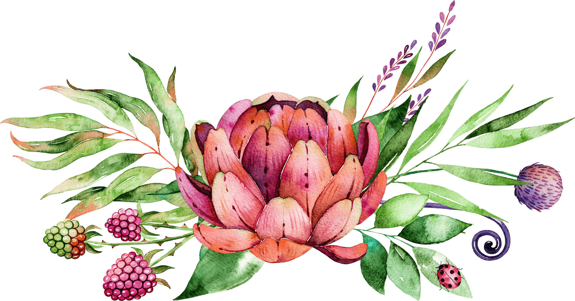 Watercolor Succulent Bouquet PNG