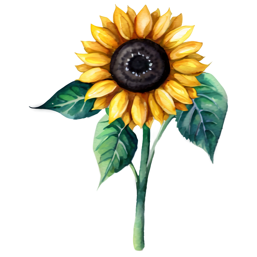 Watercolor Sunflower Png Kot PNG