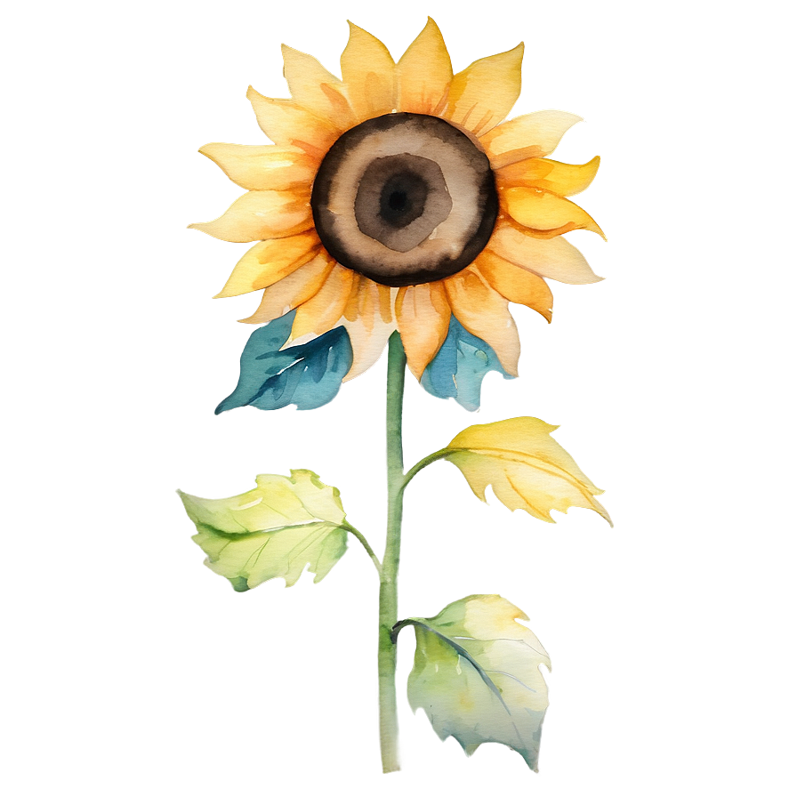 Watercolor Sunflower Transparent Png 58 PNG