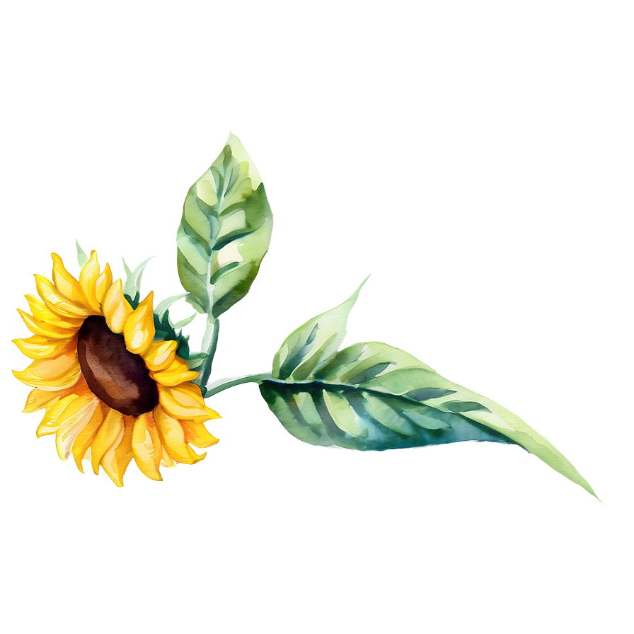 Watercolor Sunflower Transparent Png Cpi49 PNG