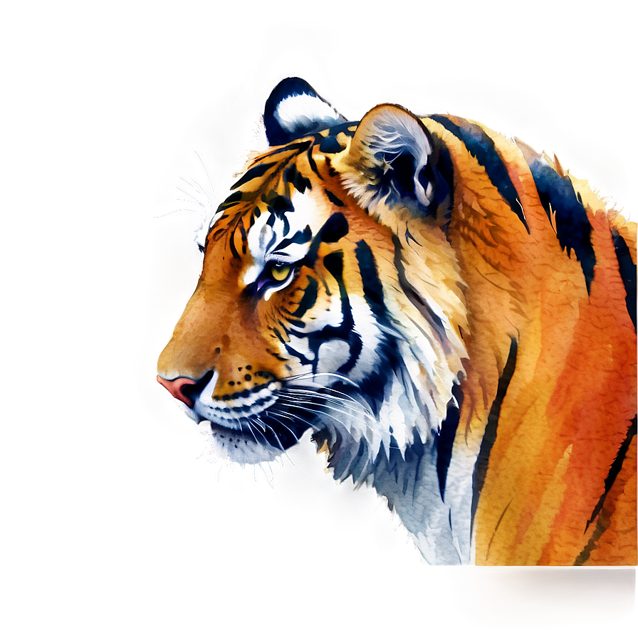 Watercolor Tiger Png 68 PNG